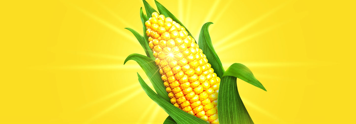 Corn